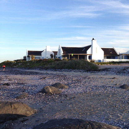 Zula Beach Cottage Mosselbank Paternoster Western Cape South Africa Beach, Nature, Sand, Seal, Mammal, Animal, Predator, Desert