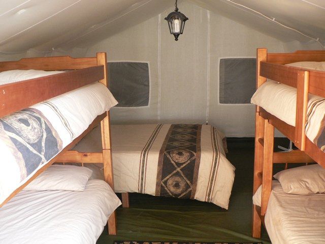 Zulani Safaris Game Farm Vivo Limpopo Province South Africa Ship, Vehicle, Bedroom