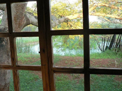 Zulani Safaris Game Farm Vivo Limpopo Province South Africa Tree, Plant, Nature, Wood, Window, Architecture, Framing