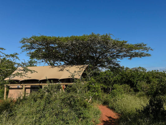 Zululand Lodge Hluhluwe Kwazulu Natal South Africa Complementary Colors