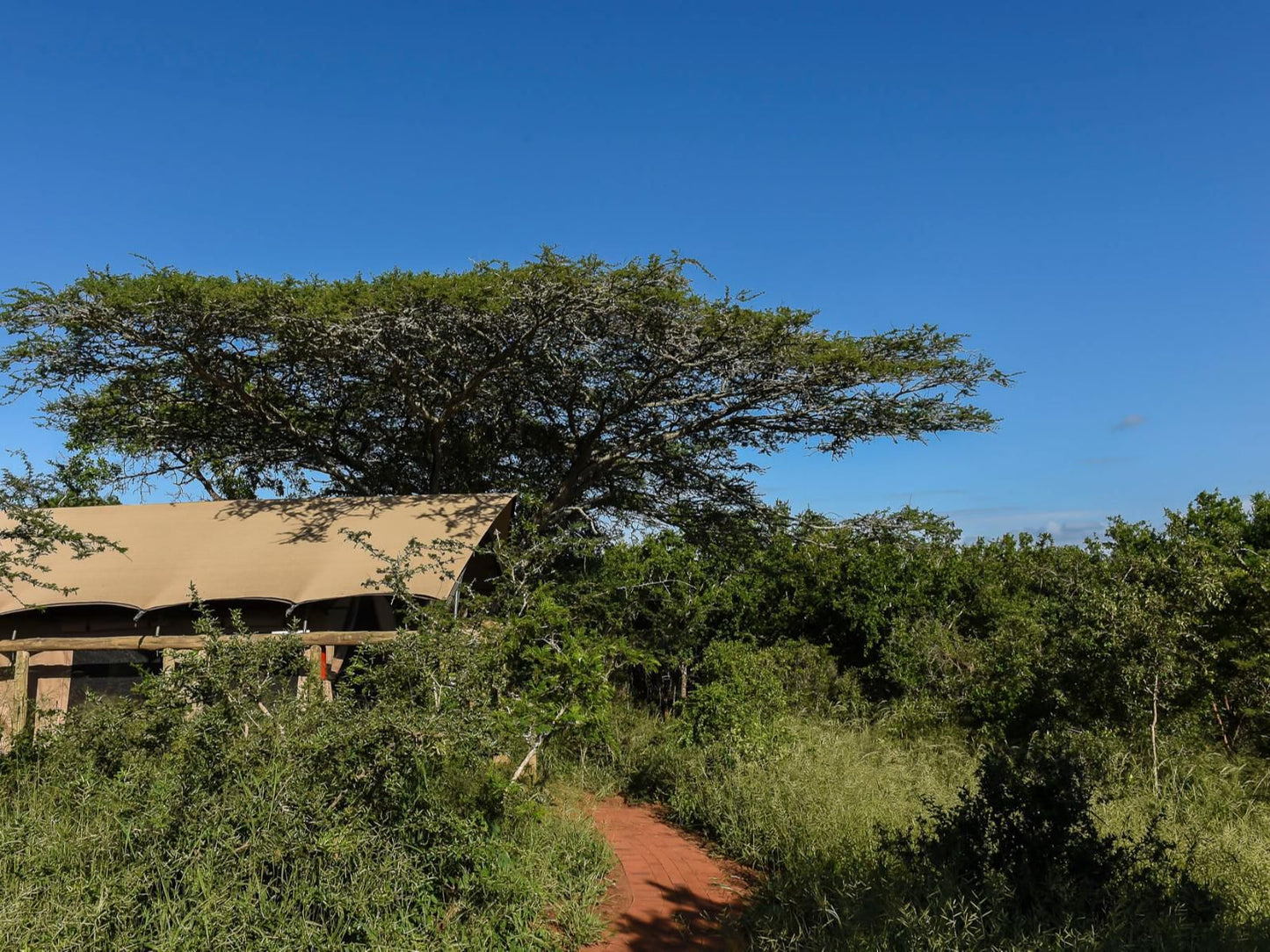 Zululand Lodge Hluhluwe Kwazulu Natal South Africa Complementary Colors