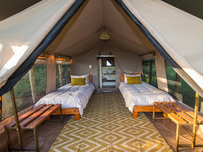 Safari Tent 1 Twin Beds @ Zululand Lodge