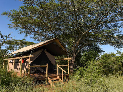 Safari Tent 1 Twin Beds @ Zululand Lodge