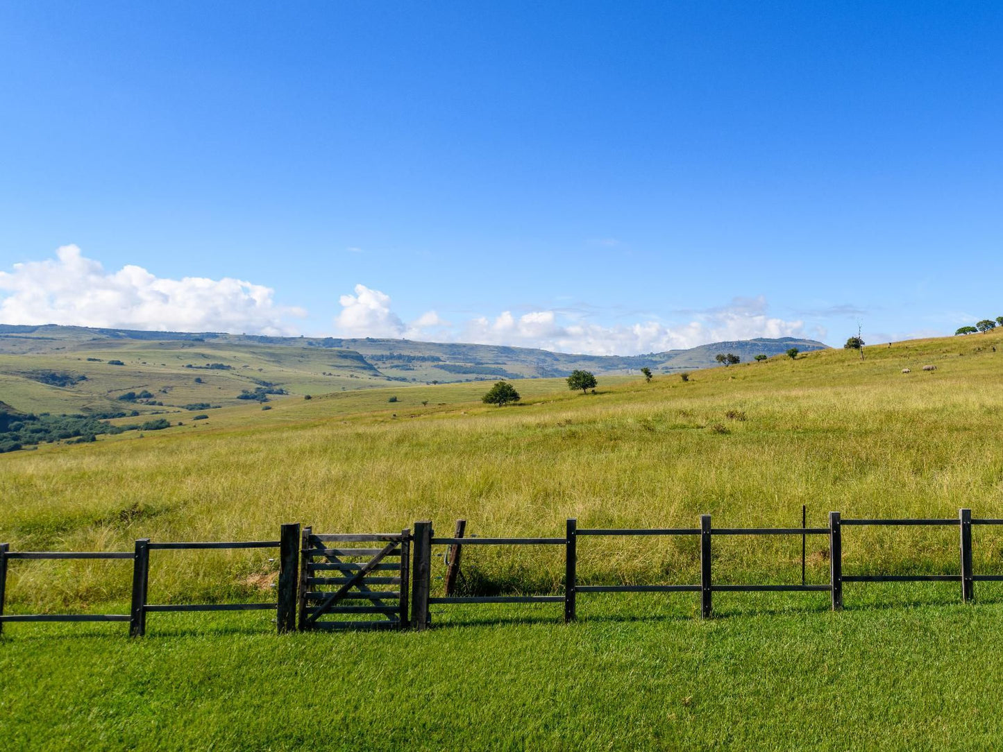 Zuluwaters Game Reserve Mooi River Kwazulu Natal South Africa Complementary Colors, Colorful, Field, Nature, Agriculture, Lowland