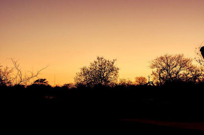 Zulwini Tree House Marloth Park Mpumalanga South Africa Sky, Nature, Sunset