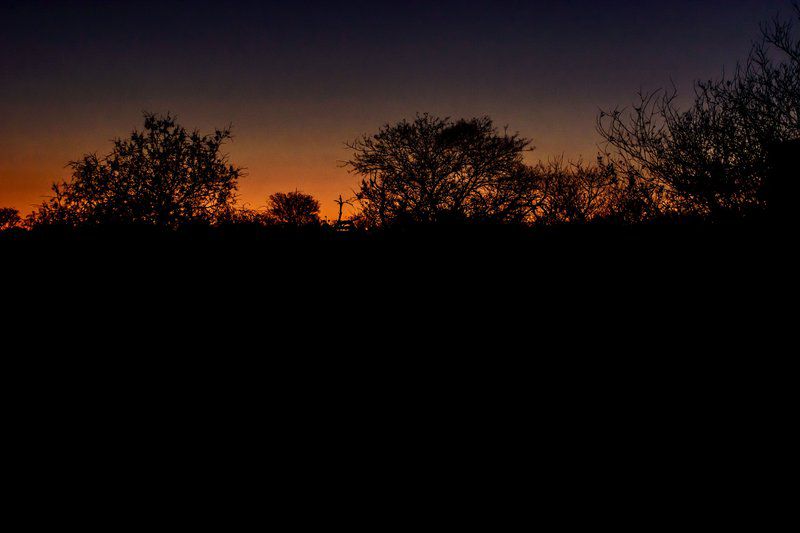 Zulwini Tree House Marloth Park Mpumalanga South Africa Dark, Sky, Nature, Sunset