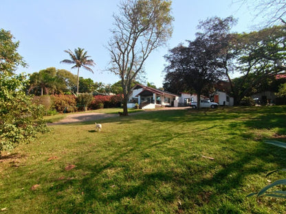 Zur See Ballito, House, Building, Architecture, Palm Tree, Plant, Nature, Wood