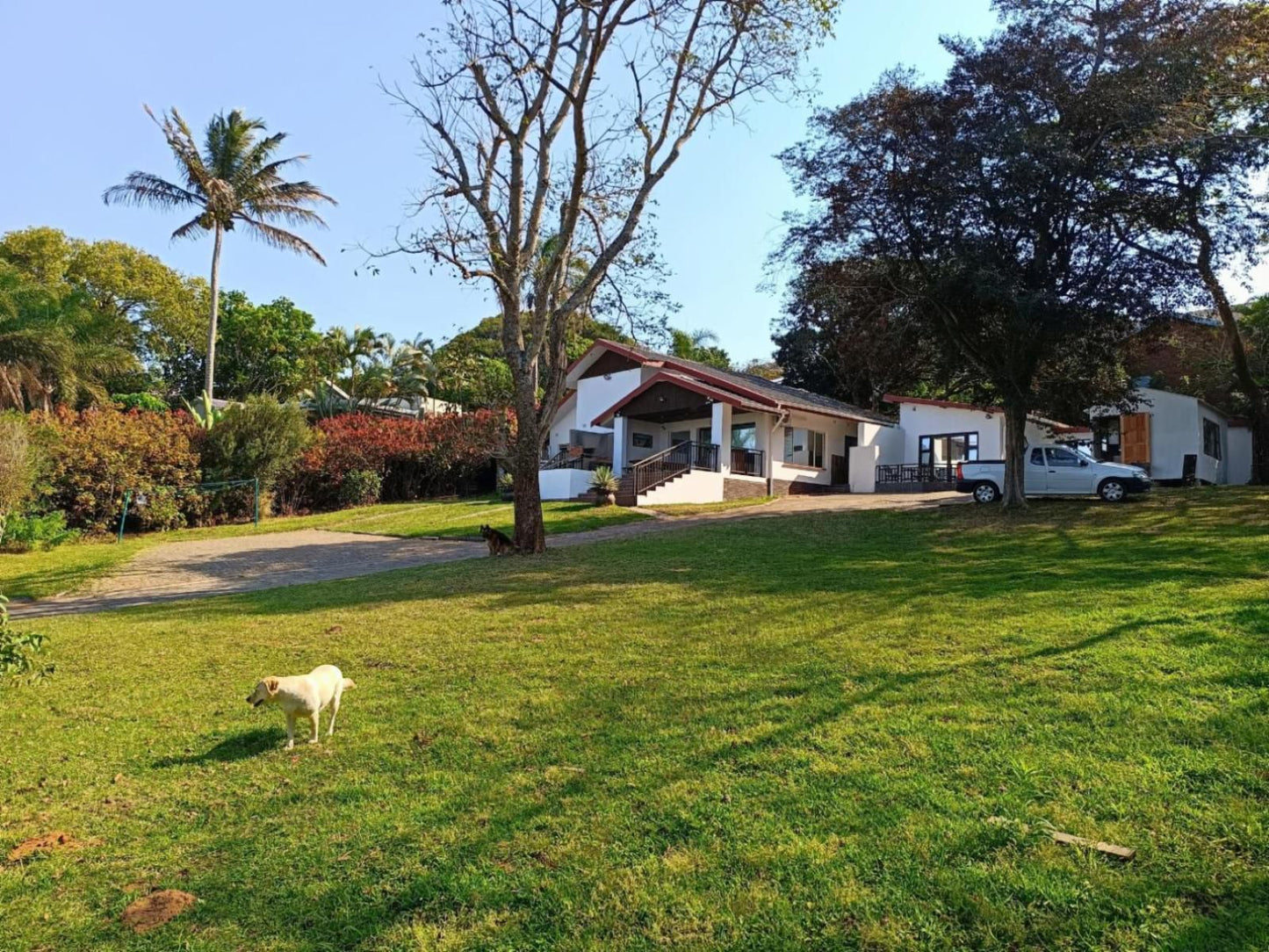 Zur See Ballito, House, Building, Architecture, Palm Tree, Plant, Nature, Wood