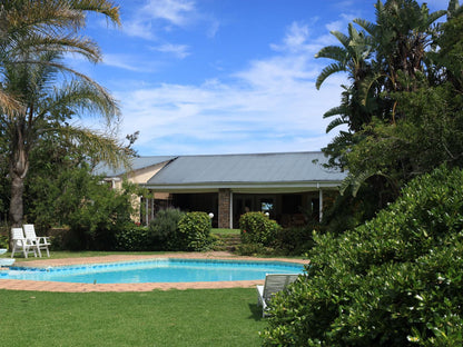 Zuurberg Mountain Village Zuurberg Eastern Cape South Africa Complementary Colors, Palm Tree, Plant, Nature, Wood, Swimming Pool