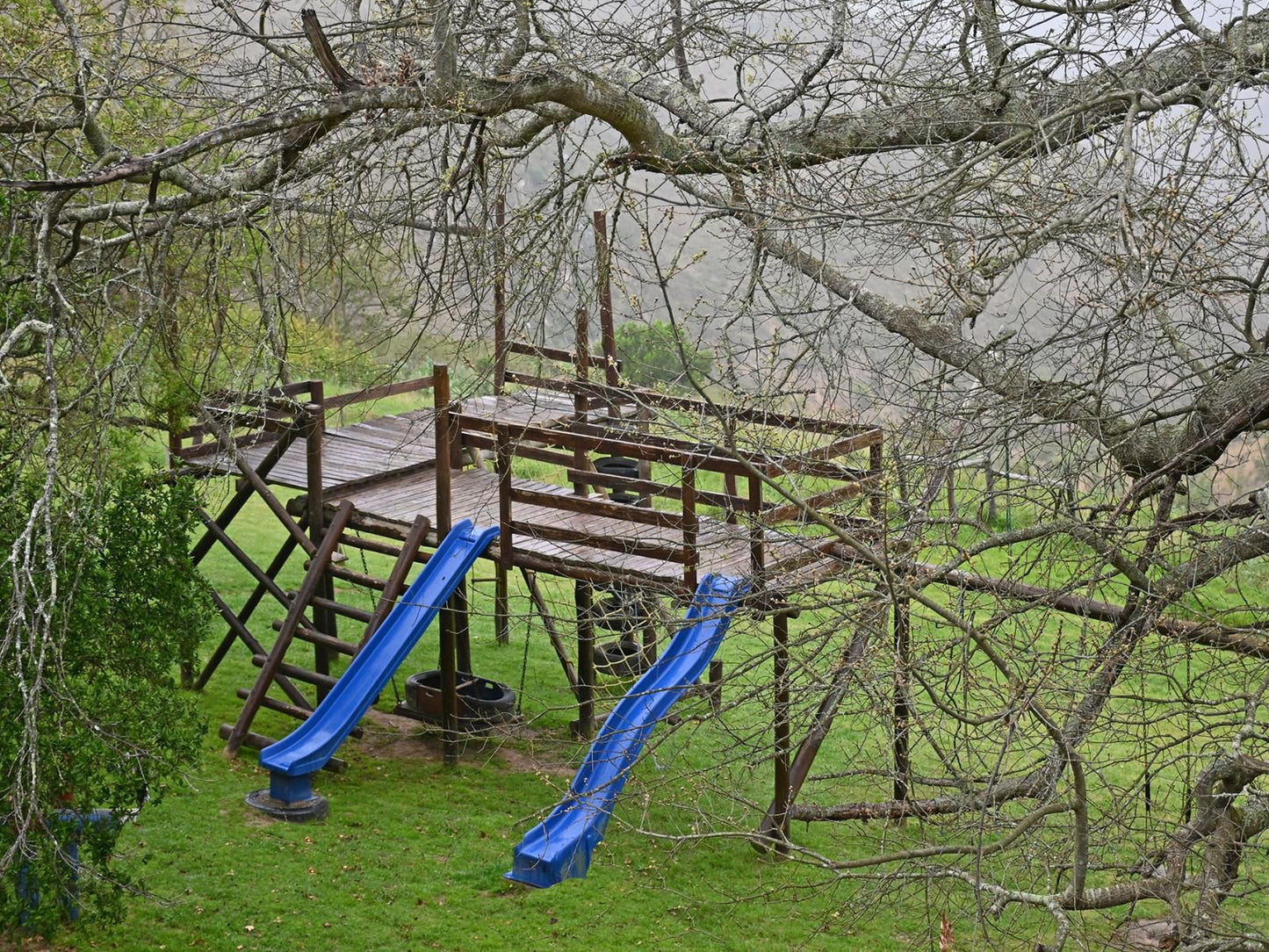 Zuurberg Mountain Village Zuurberg Eastern Cape South Africa Bridge, Architecture, Tree, Plant, Nature, Wood