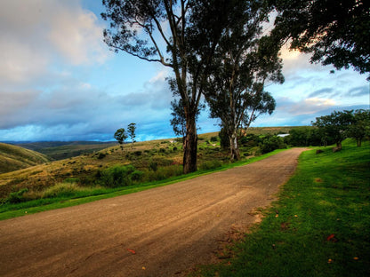 Zuurberg Mountain Village Zuurberg Eastern Cape South Africa Complementary Colors, Nature, Street