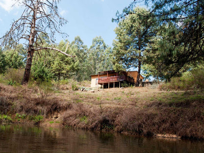 Zwakala River Retreat Haenertsburg Limpopo Province South Africa Canoe, Vehicle, Forest, Nature, Plant, Tree, Wood, River, Waters