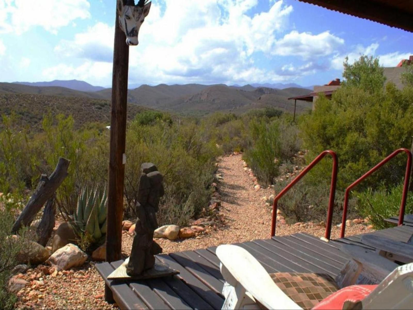 Zwartberg View Mountain Lodge Oudtshoorn Western Cape South Africa Cactus, Plant, Nature