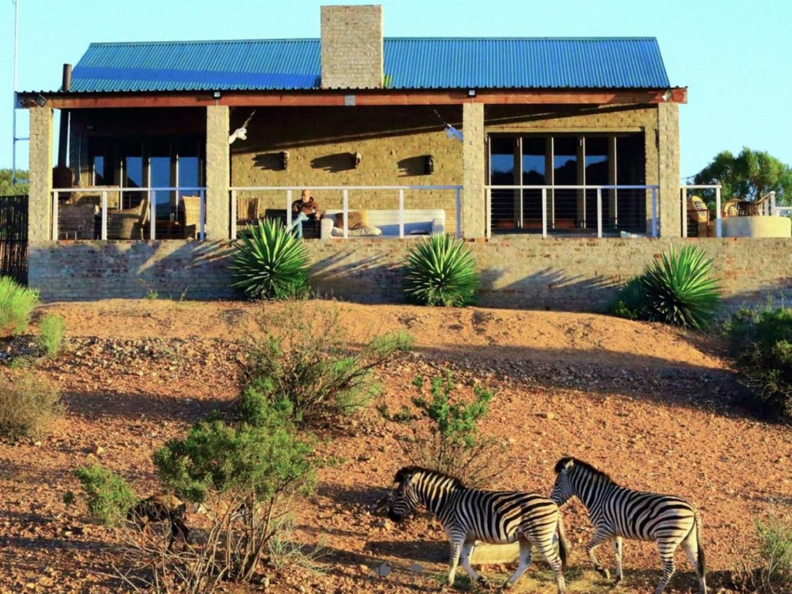 Zwartberg View Mountain Lodge Oudtshoorn Western Cape South Africa Complementary Colors